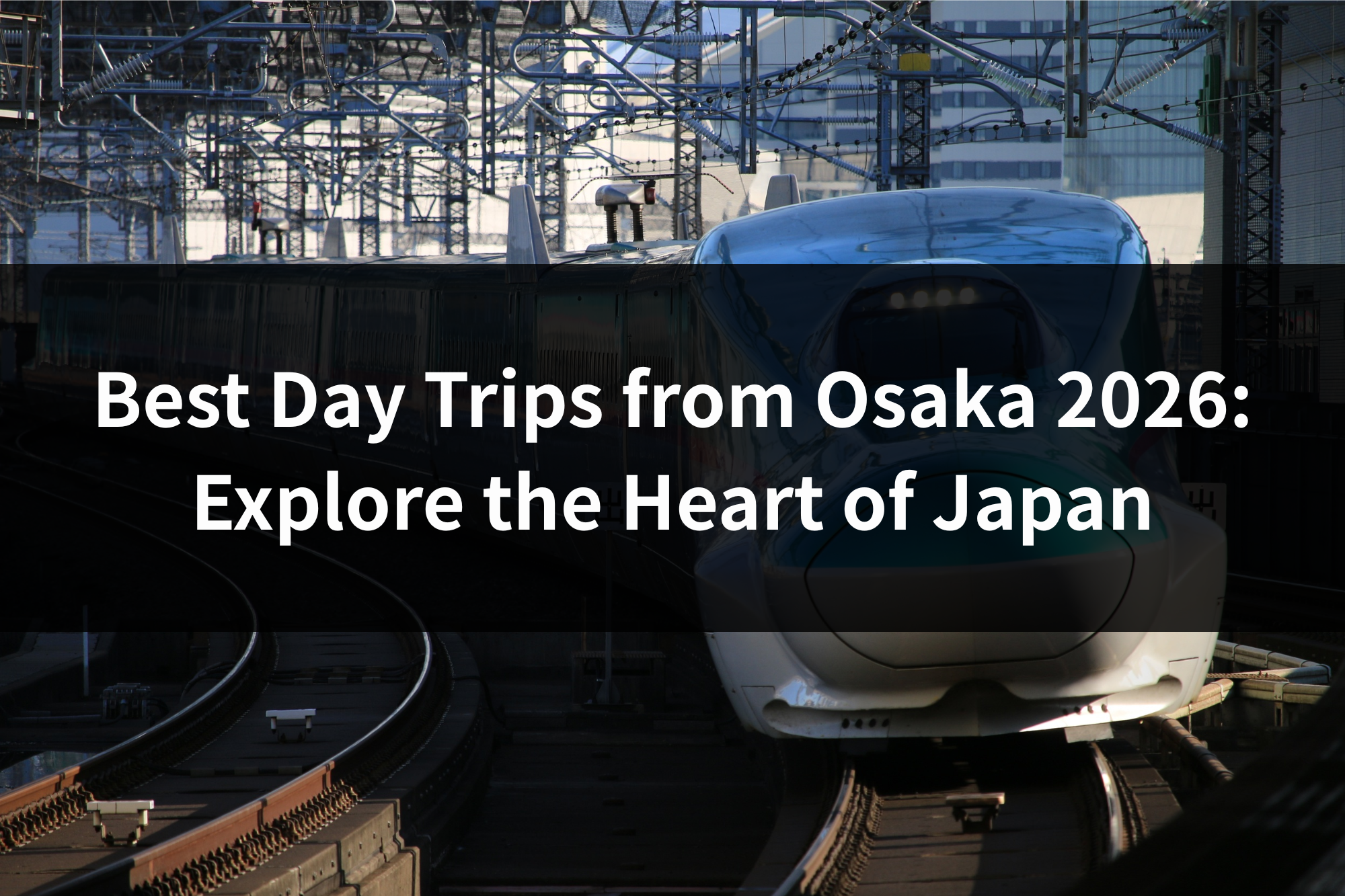 Osaka is widely celebrated as the culinary and entertainment capital of Japan—a city of neon, noise, and noodles, where every neighborhood feels like a festival and every meal feels like an event. But the city's greatest strategic secret is what lies just beyond its borders.